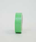 Washi Tape Stripe Green